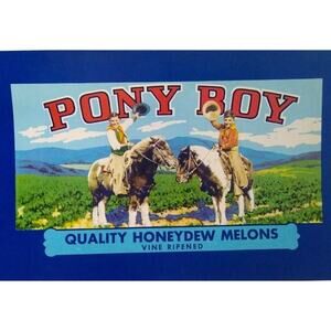 Pony Boy Honeydew Melons Children On Ponies Horses Fruit Crate Label 1950's
